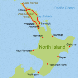 Motorhome Neuseeland Nordinsel