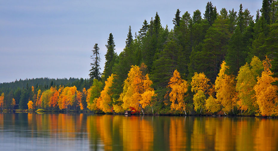 Finnland Camping herbst wald